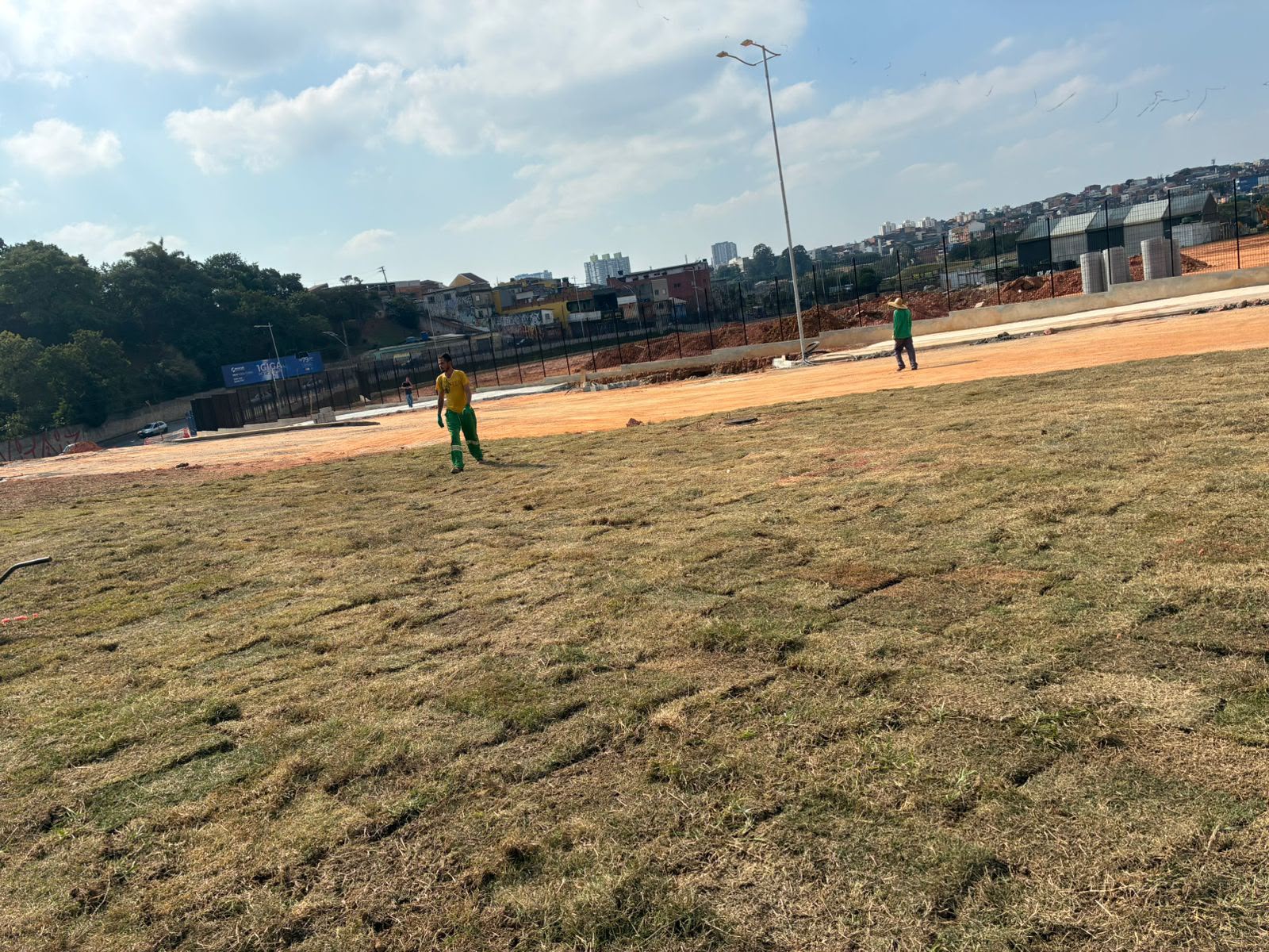 Produção de Grama Origem 4
